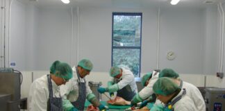 Menter Moch Cymru helps pig enterprises thrive with practical butchery and processing courses butchery pic 1