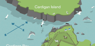 Letter to the Editor cardigan island map