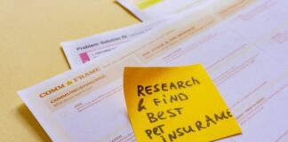 GoCompare: Regional Pet Insurance Truths Revealed daria nepriakhina PvkS 6 CCkw unsplash