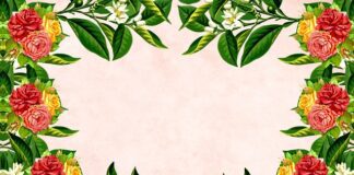 Expert reveals the most thoughtful gifts for Valentine’s Day on a Budget flower gf3aaa159e 640