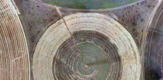 Coordinated approaches are needed to address climate change and reduce unintended consequences for African River Basins h31dq1tx4ukpnyxymmbg