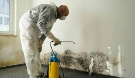 Stepping-up your Mould-free Household Practices images