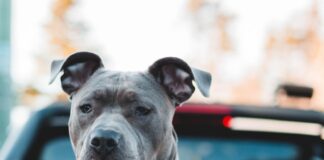 REVEALED: The UK’s most Googled legal questions jonathan cooper EN3f4pABgco unsplash