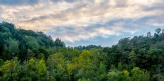 REVEALED: The UNHAPPIEST states in the US.. lauren barton tEKWoSaksho unsplash