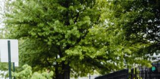 Confusion over changes to highway code pexels annushka ahuja 8113603