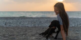 Best ‘Hybrid Working’ Half Term Home-Swaps pexels dmitriy piskarev 9249918