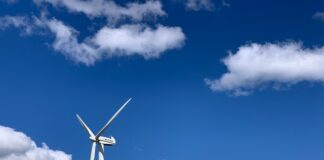 Chamber event reveals benefits of net zero for SMEs pexels egor kunovsky 4404282