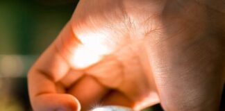 Most workers back climate action by their employer, but 1 in 4 worry green jobs are not being created in their local area pexels photo 1296265