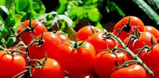 New research from World Cancer Research Fund (WCRF) reveals that 97% of Brits already own the foods that could help to prevent cance tomatoes gd98bc1c52 640