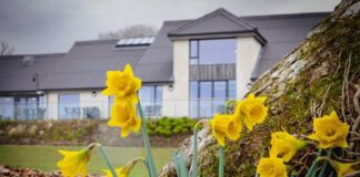 Llys y Frân’s Spring Fair welcomes 100,000th visitor! 88220e5153824be9a4f508044132d469