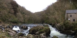 Sefydlu Bwrdd newydd i wella ansawdd dŵr yn afon Teifi Afon Teifi River scaled