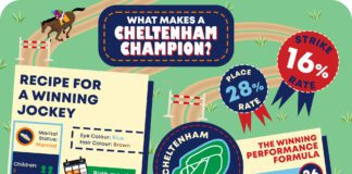 REVEALED: Average Profile Of A Winning Jockey Average Jockey Profile Infographic