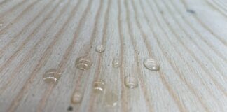 Timber group focus on Premier products DryGuard scaled