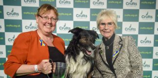 Expert Dog Behaviourist Shares 4 Crufts-worthy Tricks You Can Easily Teach Your Pet at Home Obedience Winner Crufts 2022 Credit The Kennel Club Flick.digital scaled