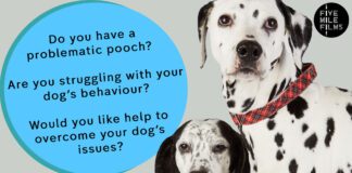 New Channel 4 Series – The Dog Academy TDA DALMATION