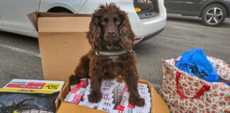 Trading Standards Wales seize over 3 million fags in the last 12 months TSW 10 Trading Standards Wales seize over 3 million fags in the last 12 months