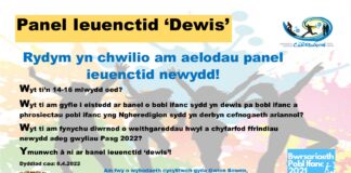 Oes diddordeb gyda chi i fod yn aelod o banel ieuenctid ‘Dewis’? Taflen Panel Ieuenctid Dewis 2022 cym
