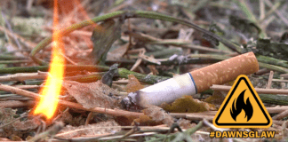 Yn Cydweithio i Ddiogelu ein Cefn Gwlad a’n Gwlad ThrownCigarette Facebook Post