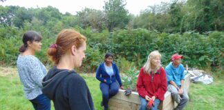 Dewch allan i fwynhau rhai cyrsiau garddio gwych am ddim Trainees and Tir Coed staff discuss garden plans scaled