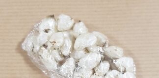 Carcharu dynion am werthu cyffuriau o fflat a feddiannwyd drwy gogio yn Llanelli aspellbrace 1