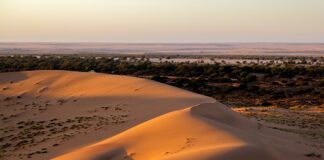 Basic desert safari packs istockphoto 517702606 170667a