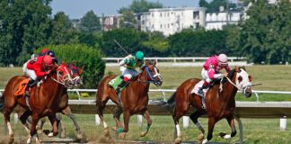 The Best UK Hopes at the 2022 Cheltenham Festival pexels james anthony 11341149 scaled