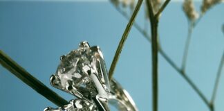 Ways of choosing the best solitaire diamond ring for engagement pexels karen laark boshoff 7436135 scaled