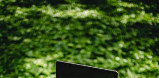 New uses for UK’s 500,000 single-use used coffee cup waste pexels ketut subiyanto 4559530