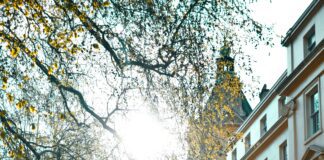 London rents higher than before the pandemic pexels timea kadar 2214035 scaled