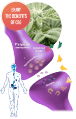 Deborah Meaden CBD Gummies United Kingdom Deborah Meaden CBD Gummies United Kingdom