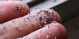 Bluewater says its time to double-down on tackling microplastics as new study finds the particles in human blood skynews microplastics hand 5718023