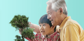 Tips for getting the most out of your CPF investment unnamed 2 1