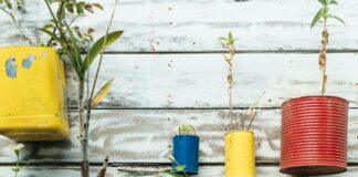 2022 Study Names Newport Wales’ ‘Upcycling’ Capital upcycling