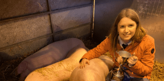 MENTER MOCH CYMRU GIVE YFC MEMBERS THEIR CHANCE TO BE FUTURE PIG PRODUCERS Eiry Williams. 2021 MMC Wales YFC Overall Winner at the RWAS Winter Fair