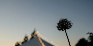 HAY FESTIVAL 2022 PROGRAMME UNVEILED WITH 500+ IN-PERSON EVENTS, 26 MAY–5 JUNE Hay Festival Wales night