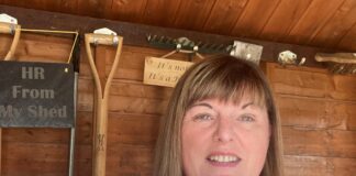 Welsh Independent HR Consultant wins top prize at British HR awards  Julie Grabham British HR Award win