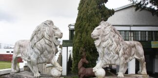 Rangers on the brink ! Mumb grave 11