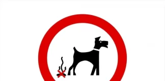 Drewdod baw cŵn yn effeithio ar gymdogion Please Clean Up After Your Dog Sign 540x