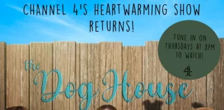 BAFTA Nominated The Dog House – Channel 4 TDH Flyer 17