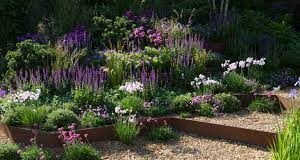 Gardening: How to create a nature friendly garden download 4