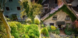 Everybody needs good neighbours, but what can be done if someone refuses to be neighbourly? garden 6570716 960 720