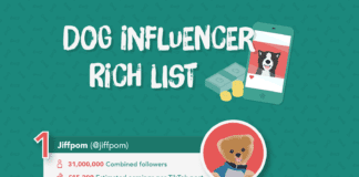 The dogs earning over £10K on Instagram and TikTok instagram earners 14 14 dogs