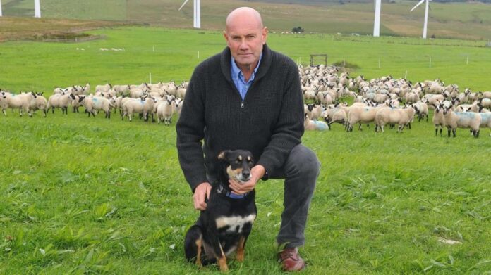 john yeomans at trial site with beulahs 2
