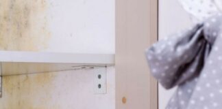 Expert Reveals How to Clean Mould from your Wardrobe and How to Prevent its Growth mold in closet