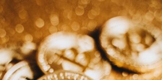 Increase Your Income With Bitcoin Prime Trading Bot pexels alesia kozik 6765373 scaled