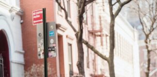 Half a million more adults in Wales would cycle if streets were safer estimates Cycling UK pexels blue bird 7243319