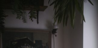 New study reveals you could save over £4K a YEAR if you cut this bad habi pexels koolshooters 6980540 scaled