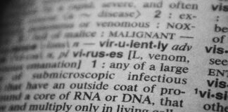 3 ways in which the environment impacts our DNA pexels nothing ahead 4440721 scaled