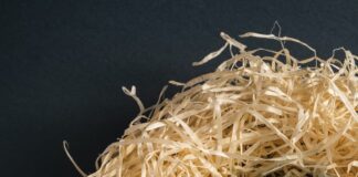 Be a good egg and hide Easter chocs from your pets, vets warn rodion kutsaev FjojfUNJHGU unsplash