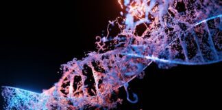 Biggest study of its kind implicates specific genes in schizophrenia sangharsh lohakare 8o LkMpo8ug unsplash